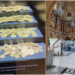 Muzeul Băncii Naționale a României organizează expoziția BANII NE VORBESC: O istorie a leului de la metal la polimer