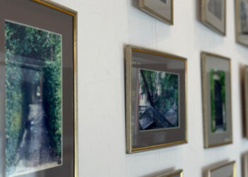 FRUMUSEȚEA ETERNĂ A PALATULUI, expoziție de fotografie la Centrul Cultural Jean Constantin