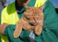 Portocaliul GARFIELD, sufletul blănos al echipei Polaris